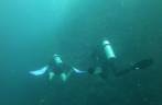 Explorando ass paredes submersas ao sul de Roseau, em Parque Nacional submarino em Dominica, no Caribe